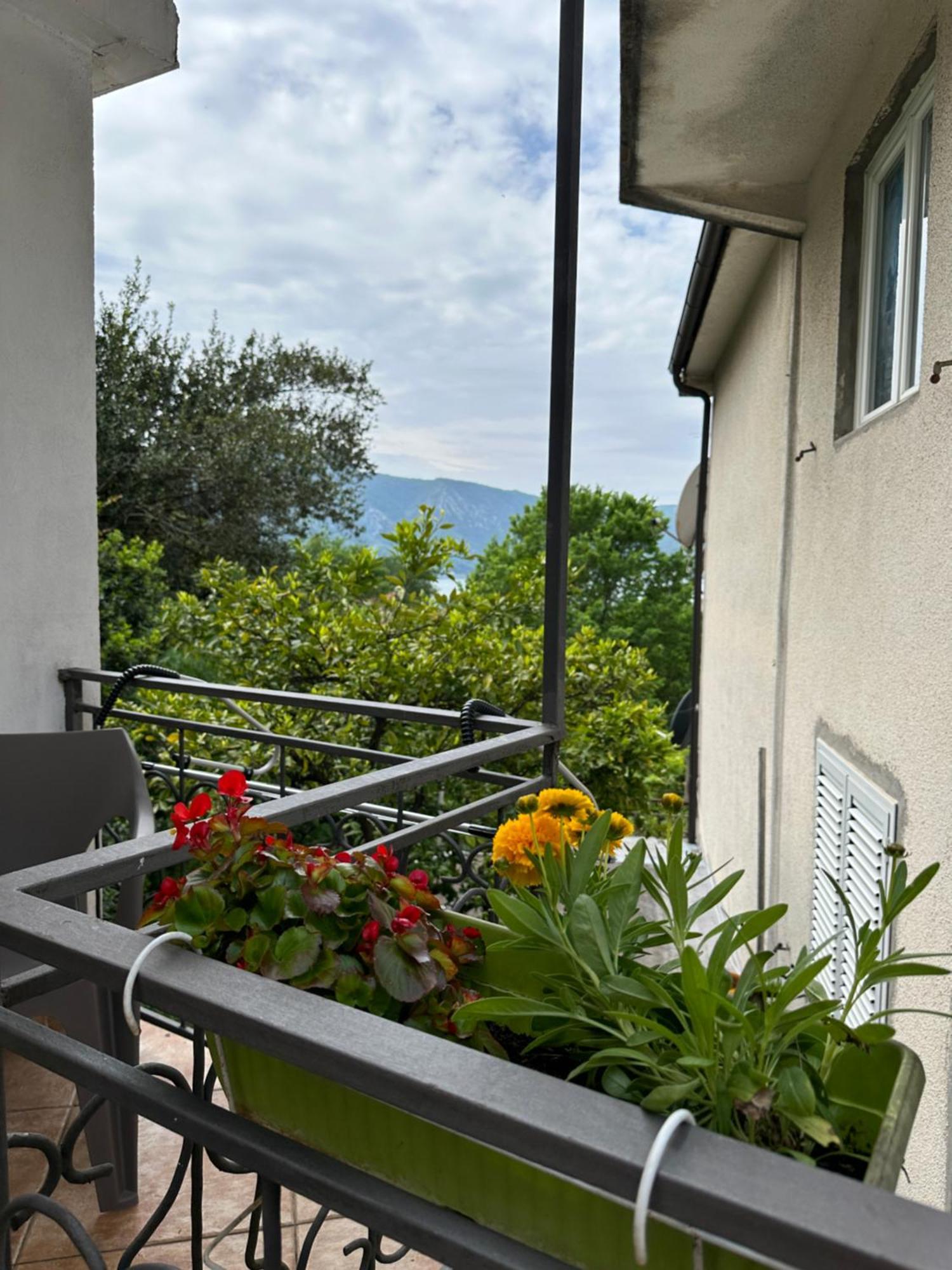 Apartman Nina Risan Esterno foto